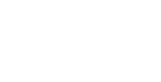 Blg Logo